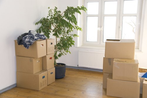 Relocation process image emphasizing efficiency and care