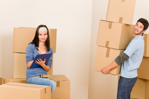 A young woman with dark hair, wearing a light blue long-sleeve top and jeans, is sitting on a cardboard box in a residential space, holding a blue clipboard and looking directly at the camera. Behind her, there are several large, plain cardboard moving boxes, some stacked on top of each other, indicating a household move. To her right, a young man with short dark hair, dressed in a light grey hoodie and jeans, is smiling while carrying a medium-sized cardboard box with brown packing tape, positioned slightly angled towards the camera. The room features an unseen doorway, and the background walls are painted in a neutral light colour, with natural lighting illuminating the scene. The image reflects the typical activity of house removals in a domestic setting, with packing materials and furniture ready or being transported, fitting within the context of a professional house removals service in the UK, such as Pimlico Man with Van, aiming to support seamless and secure relocations in areas around London or nearby postcode districts.